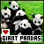 Ailuropoda Melanoleuca - Giant Pandas Fanlisting